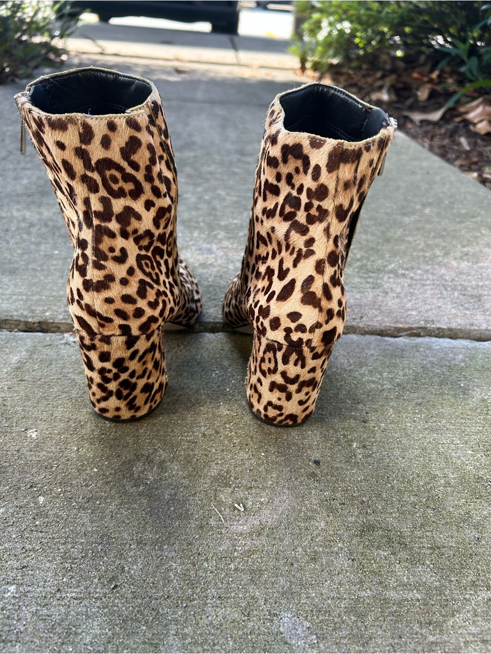 Sam Edelman Leopard Print Pointed Toe Ankle Boots - Picture 3 of 6
